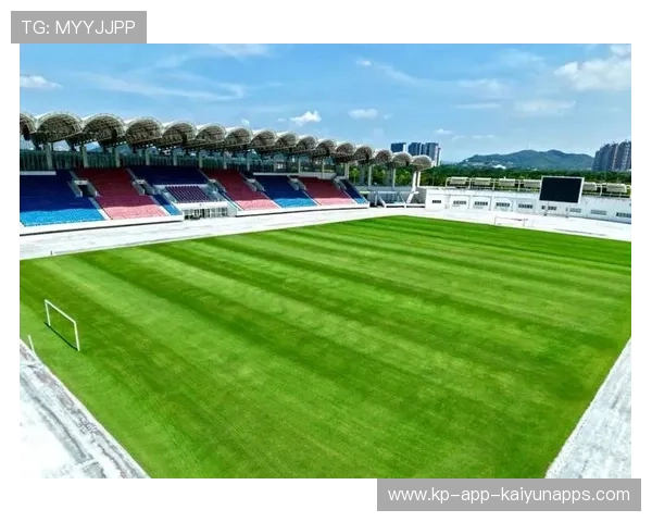 体育场馆多功能转型,节假日利用率提升